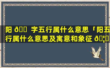 阳 🐠 字五行属什么意思「阳五行属什么意思及寓意和象征 🦁 」